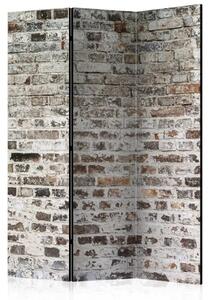 Paravento Vecchi muri - texture di mattoni con dettagli urbani