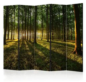 Paravento design Mattina nella foresta II - paesaggio forestale al sorgere del sole
