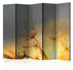 Paravento design Solstizio d'estate II - fiori con gocce d'acqua su sfondo di tramonto