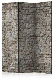 Paravento separè Realtà - texture architettonica di mattoni in tema urbano
