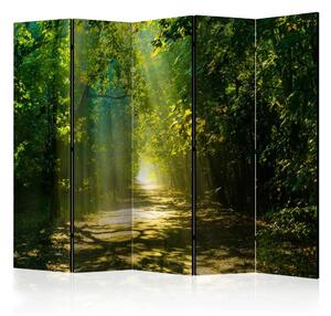 Paravento Strada al sole II - paesaggio di strada tra gli alberi e raggi solari