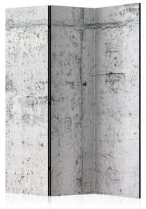 Paravento Parete di cemento - texture architettonica di cemento urbano grigio