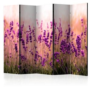 Paravento design Lavanda sotto la pioggia II - lavanda in campo soleggiato