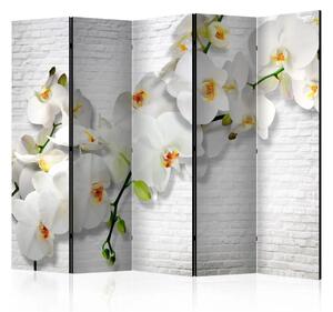 Paravento separè Orchidea urbana II - orchidea su muro bianco di mattoni
