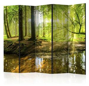 Paravento design Lago forestale II - foresta e acqua al sole
