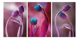 Quadro contemporaneo Tulipani innamorati