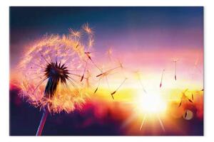 Quadro su tela La libertà della natura