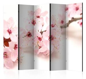 Paravento design Fiore di ciliegio II - pianta rosa su sfondo bianco in tema orientale