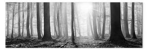 Quadro su tela Foresta bianca e nera