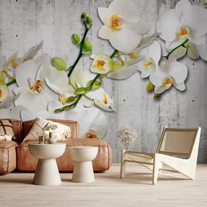 Carta da parati moderna Orchidee bianche con accento arancione - motivo floreale
