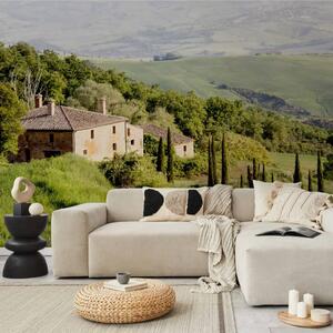 Carta da parati Sotto il sole della Toscana - paesaggio collinare con alberi in Italia