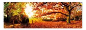 Quadro contemporaneo La magia dell'autunno