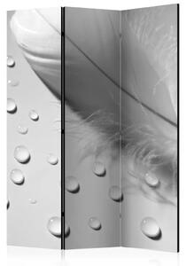 Paravento design Piuma Bianca - piuma romantica con gocce d'acqua su sfondo grigio
