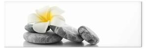 Quadro contemporaneo Fiore di loto bianco - pietre rilassanti stile Zen con fiore orientale