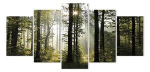 Quadro contemporaneo Luce verde natura (5 pezzi) - splendore natura paesaggio foresta