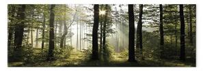 Quadro su tela Foresta luce giorno - paesaggio alberi verdi natura