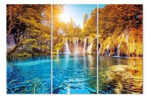 Quadro Cascate di una foresta assolata