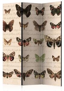 Paravento separè Stile Retrò: Farfalle - farfalle colorate su carta antica