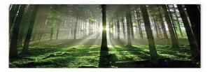 Quadro moderno Foresta smeraldo - paesaggio verde con raggi di sole