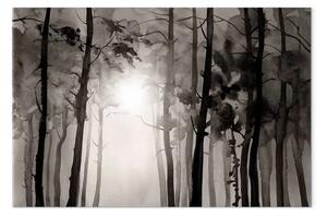 Quadro Strada nella foresta - alberi scuri che conducono verso il sole