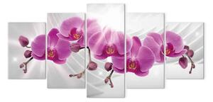 Quadro moderno Giardino astratto: Orchidee rosa