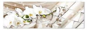 Quadro contemporaneo Orchidea e astrazione - fiore bianco su sfondo beige astratto
