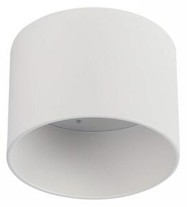 Applique da soffitto per lampade AR111 Fissa Bianca Colore del corpo Bianco