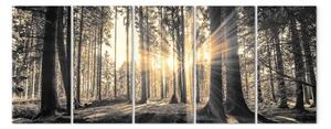 Quadro Guardiani dell'ombra (5 parti) - bosco alla luce dell'alba