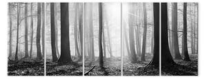 Quadro Foresta monocromatica