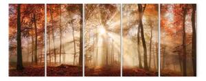 Quadro su tela Tardo autunno (5 parti) - sole autunnale su un paesaggio boschivo