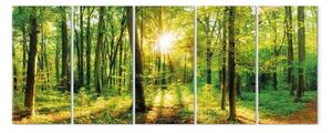Quadro contemporaneo Una foresta magica