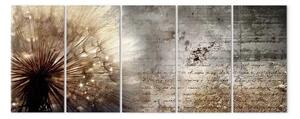 Quadro contemporaneo Soffione beige (5 parti) - fiore luminoso con piccole scritte