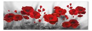 Quadro Papaveri romantici - fiori rossi in un prato primaverile