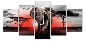Quadro contemporaneo Elefante solitario
