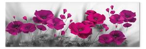 Quadro Maki amaranto - composizione grigia con fiori rosa