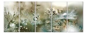 Quadro su tela Soffioni soffici (5 pezzi) - fiori con gocce in verde