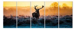 Quadro moderno Pomeriggio invernale (5 pezzi) - cervo su un campo assolato