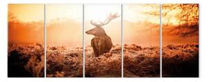 Quadro contemporaneo Cervo al tramonto (5 pezzi) - animale del bosco su un campo