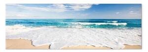 Quadro Spiaggia dell'isola di Captiva