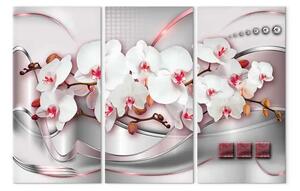 Quadro su tela Belle orchidee I