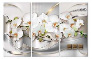 Quadro moderno Orchidee in fiore I