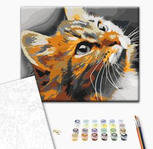 Quadro da dipingere con i numeri Gatto rosso