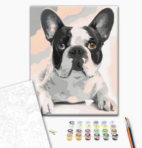 Tela da dipingere con numeri Bulldog francese