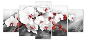 Quadro su tela Un'orchidea unica nel suo genere