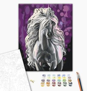 Tela da dipingere con numeri Unicorno bianco