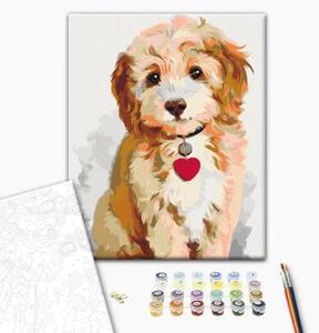 Quadro da dipingere con i numeri Cagnolino (cucciolo)