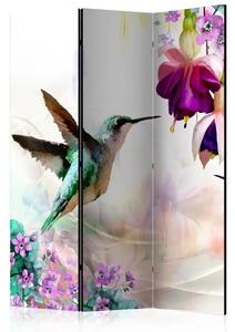 Paravento design Colibrì e Fiori - uccello e piante estive su sfondo multicolore
