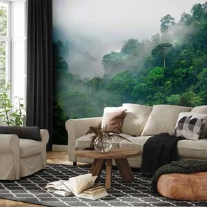 Carta da parati moderna Nebbia del mattino