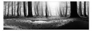Quadro su tela Foresta dopo la pioggia stretto