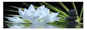Quadro su tela Giardino Zen stretto
